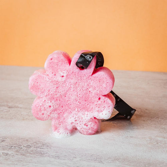 Where to Buy a Soap Sponge?